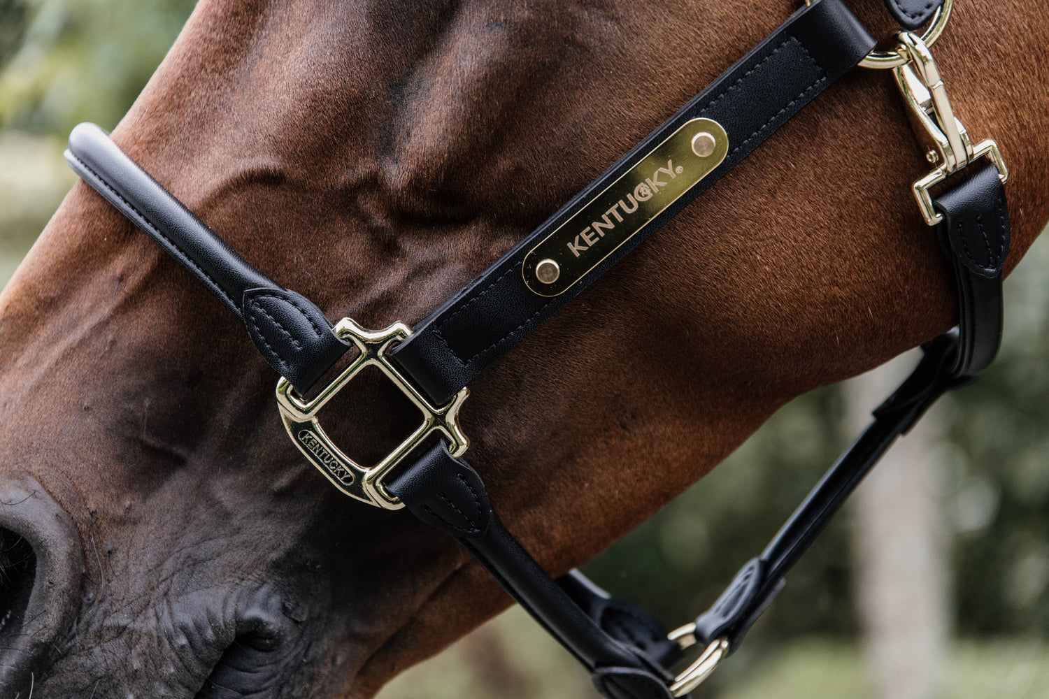 The Anatomic Leather Halter is made of artificial vegan leather (100% animal friendly). This artificial leather does not absorb water or dirt, does not break or change colour. 