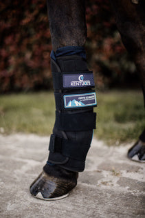 The Cryo ice boots are the ideal cooling boots that can be used after exercise or competition to cool down the legs of your horse. The boots are anatomically shaped and have a removable Cryo gel pack.