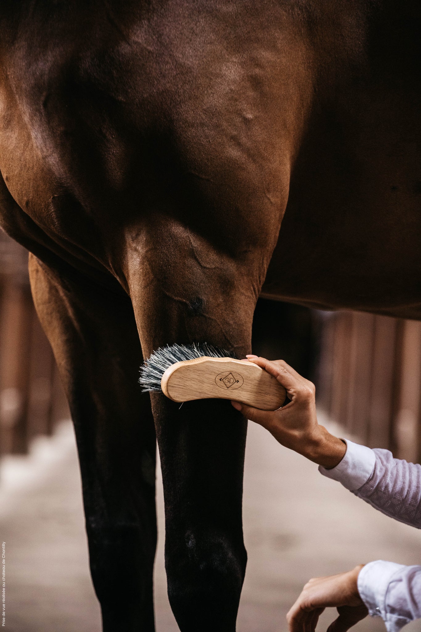 This varnished brush is filled with grey Tampico, a vegetable fiber that is generally used to make ropes. This makes it a very hard brush, ideal in extreme weather conditions when the horses’ coat is so muddy. You can also use it on the hoofs. The brush has a banana form, for a better grip. 