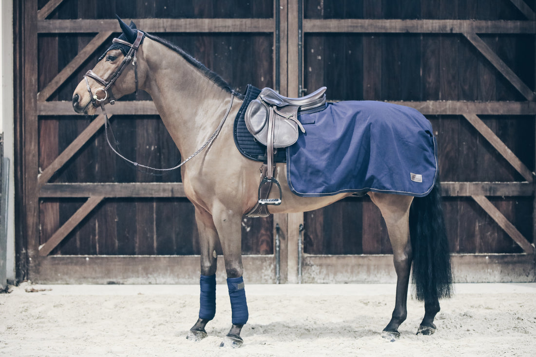 The Kentucky Quarter Rug All Weather is a high-performance rug made out of a three-layer fabric.