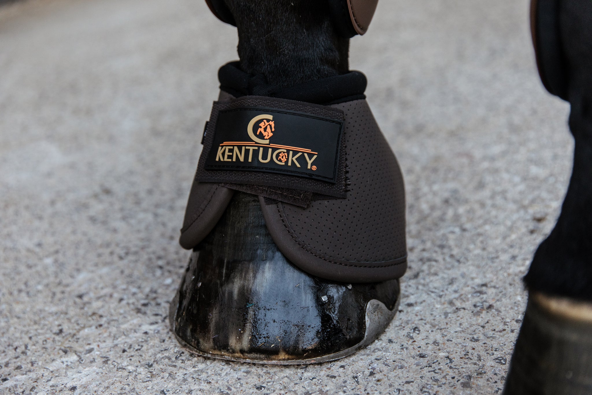 Kentucky Horsewear Air Tech Over Reach Boots