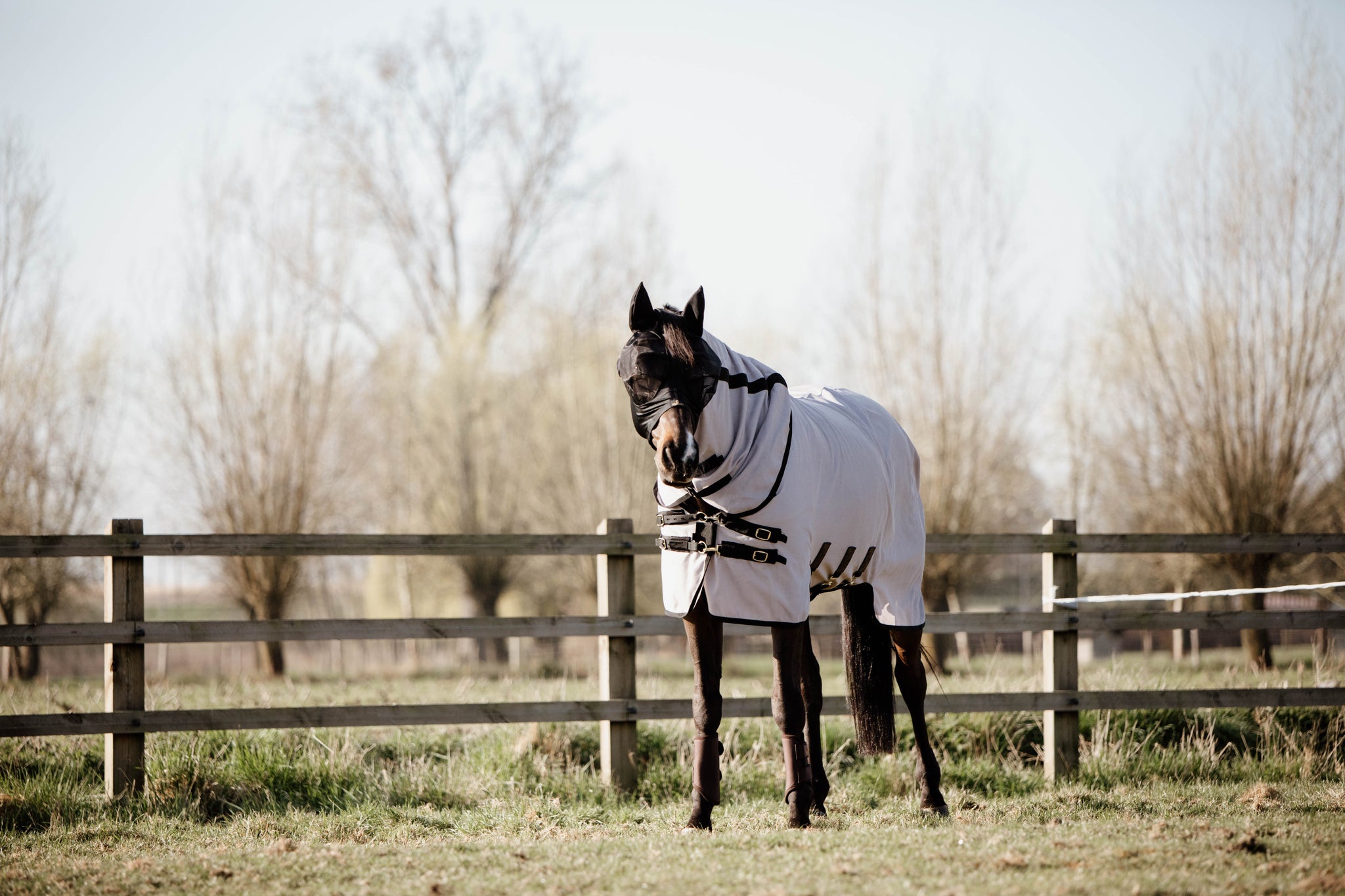 Get rid of any irritations caused by insects with the Kentucky Mesh Fly Rug.