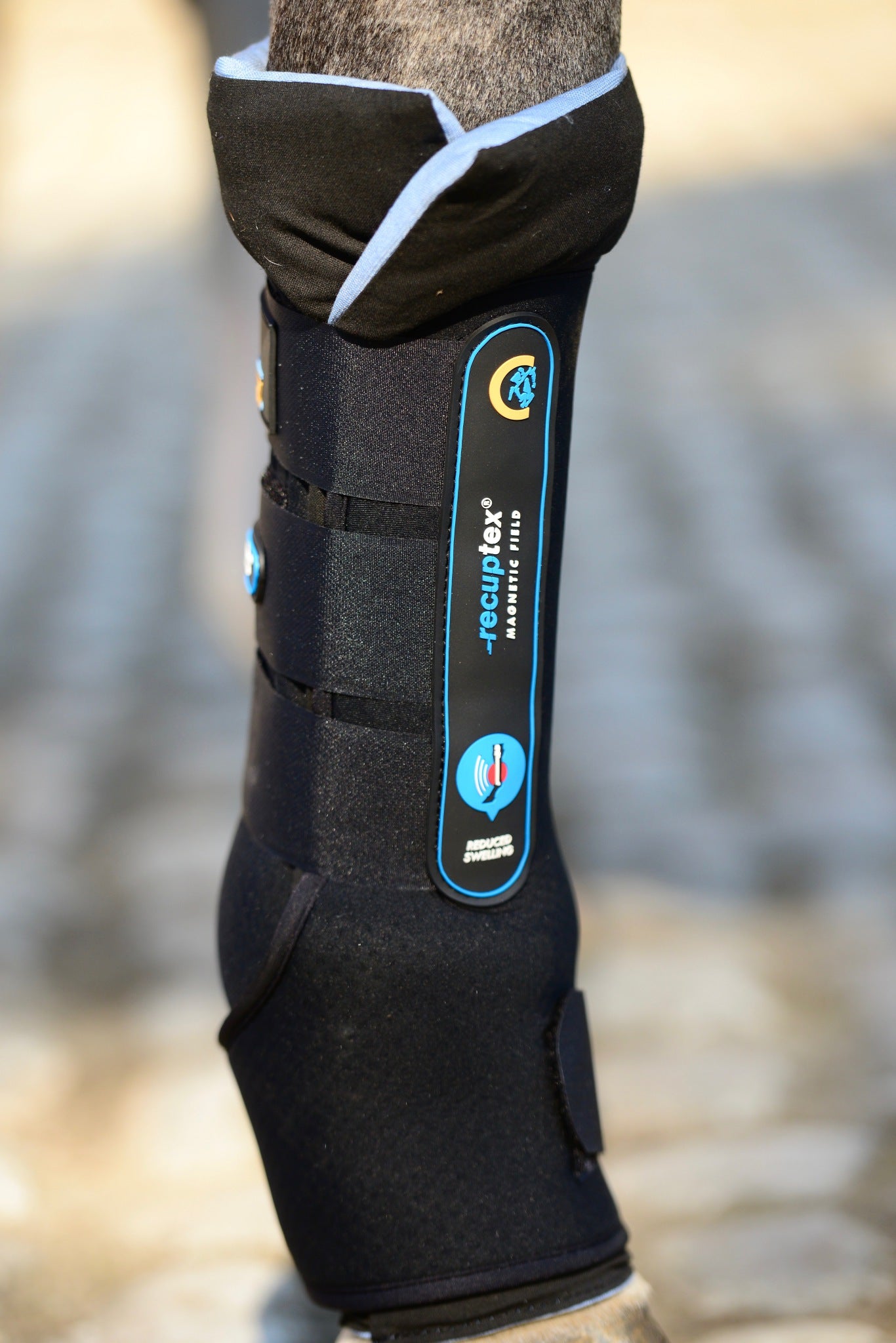 Kentucky  Magnetic Therapy Recuptex Stable Boot