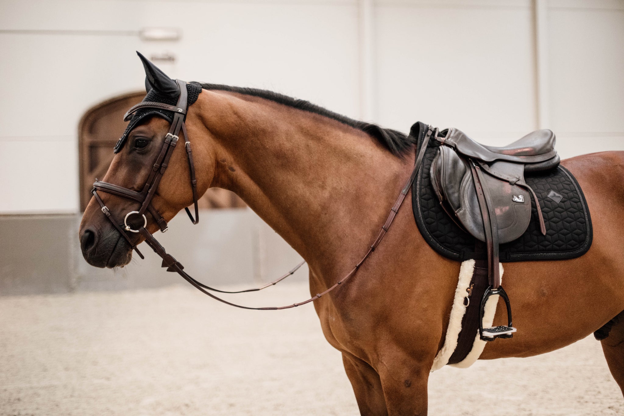 The Kentucky rope and Glitter saddle pad is a classic elegant pad with a sophisticated shimmer. The pad has a clutter strip and a plain self coloured braid. Matching Fly Vale Available