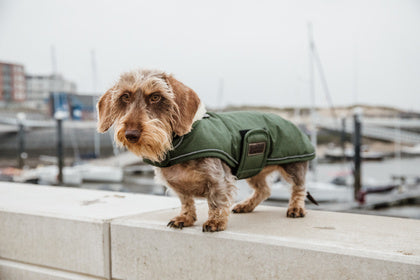 The Kentucky Green Waterproof Dog Coat  offers every dog a dry, warm rug during the cold and wet winter days. Filled with a warming 160g and also featuring an artificial faux fur lining for extra comfort. This also creates tiny air pockets that trap and retain the body heat of the dog.