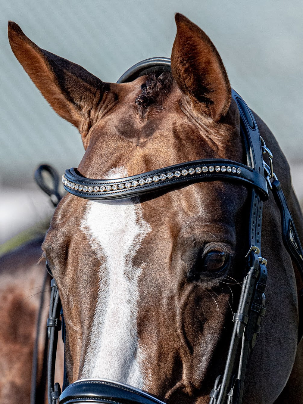 The Equiline U shaped browband embellished with diamantés. These crystals are inset so won’t catch on anything and add the perfect sparkle to your horses bridle. The shape offers movement and optimum comfort for your horse and is made with soft and supple Italian leather. 