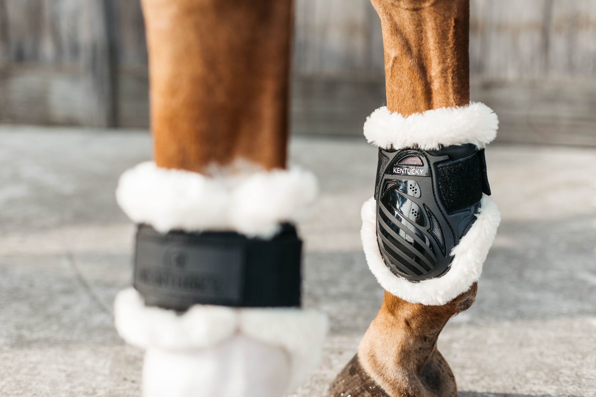 Kentucky Sheepskin Young Horse Fetlock Boots Air are the perfect match for the New Kentucky Tendon Boots Bamboo Shield. 