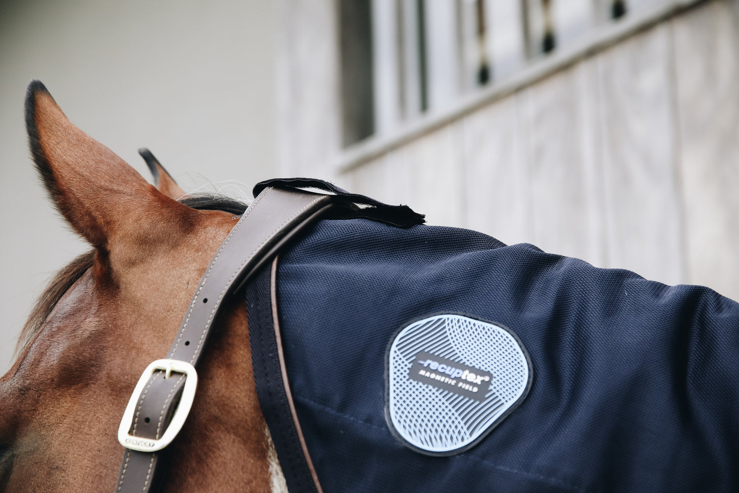 This Magnetic Neck Recuptex uses the same Recuptex fabric technology that has proven to be state of the art. Based on the Bekaert BEKINOX® technology, they contain the finest inox yarn (a stainless-steel fiber) that is woven into the fabric. It creates a Faraday cage which reflects the magnetic fields created in the horse&