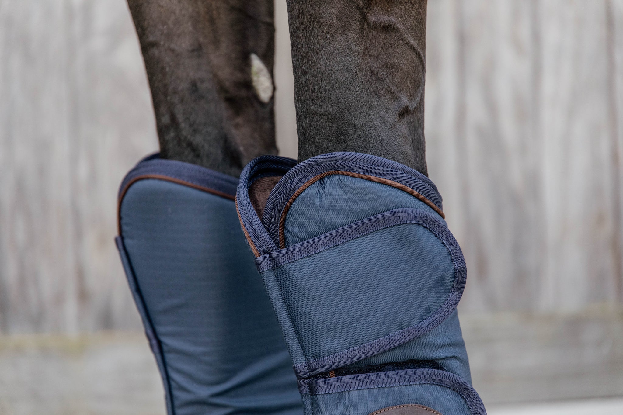 Strong and comfortable, the Kentucky Horsewear Travel Boots protect the tendon and fetlock area, including the pastern and hocks of your horse during transport. Thanks to the durable materials the travel boots will protect your horse for every journey.