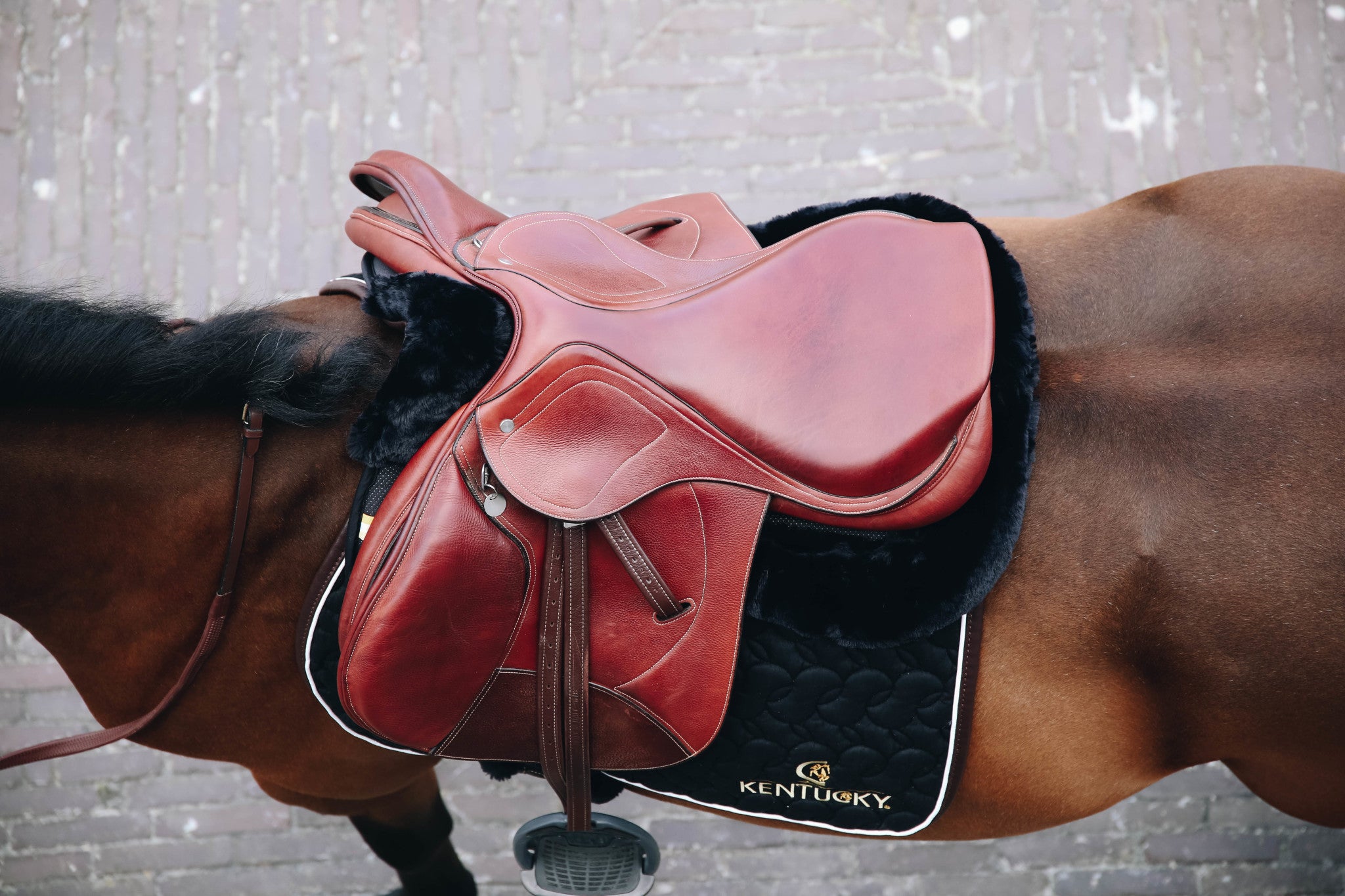 This ultra-thin Kentucky Half Pad has been developed with advanced technical materials to offer the rider a closer contact with their horse, while also protecting the horse&