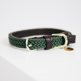 The Kentucky Plaited Nylon Dog Collar is made of artificial leather on the back and the buckle / end (100% animal and vegan friendly) and has a nylon braided design on the face.  The dog collar features a gold buckle and ring to attach to the matching Kentucky Plaited Nylon Dog Lead. The small hanger with Kentucky Dog Paw logo can be engraved  with your dog&