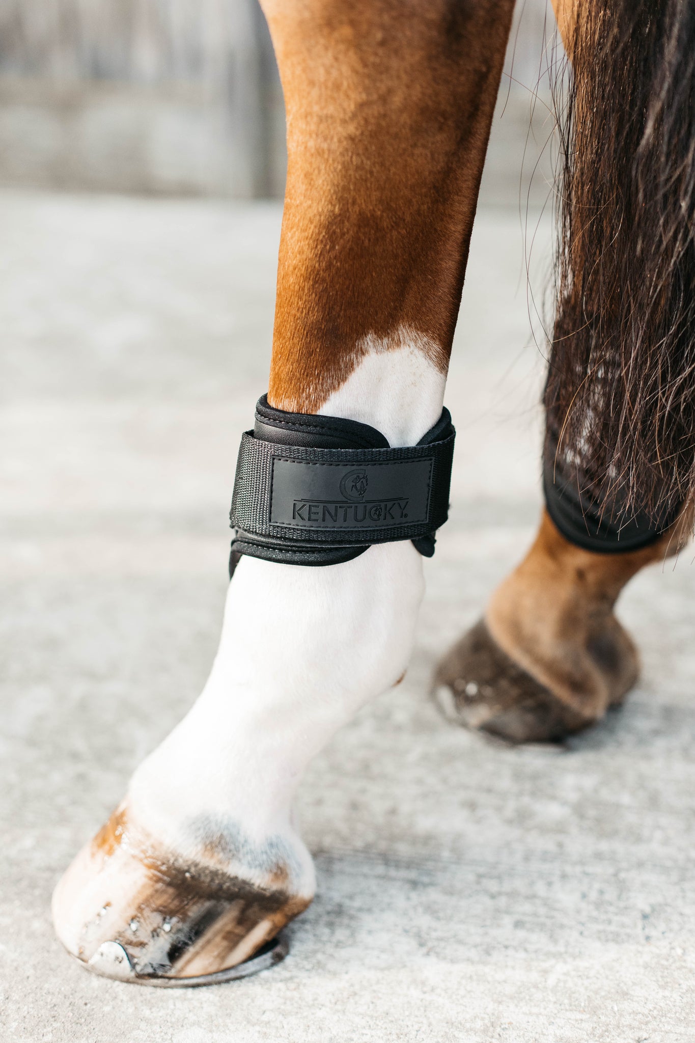 Kentucky Young Horse Fetlock Boots Air are the perfect match for the New Kentucky Tendon Boots Bamboo Shield.   Approved for jumping rounds in both FEI and BS the New Kentucky Young Horse Fetlock Boots Air have a double Velcro fastening helping to keep your boot securely fastened. The secure fastening prevents the boot turning when jumping or exercising and therefore keeps the horses hind legs consistently protected.