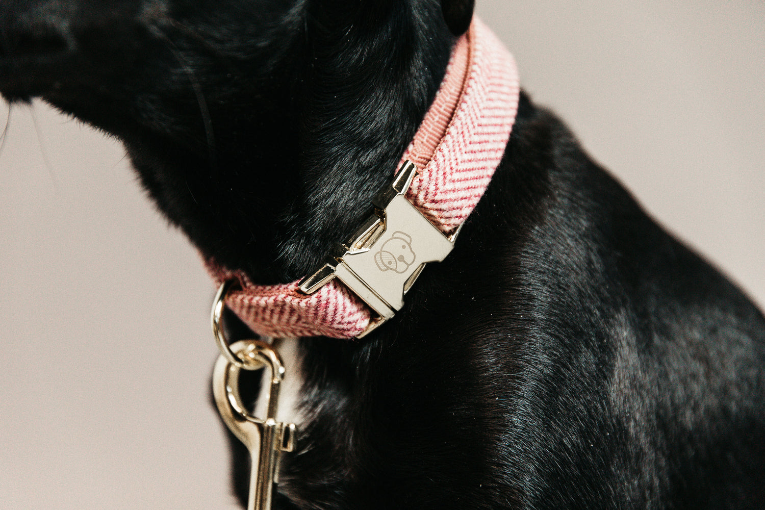 This Kentucky Dog Collar Wool will give your dog a sophisticated  look in any circumstances! The diagonal stipe fabric on the outside gives it a wool like aspect, without using any animal ingredient. On the inside, the collar is reinforced with nylon to assure comfort and extra strength.