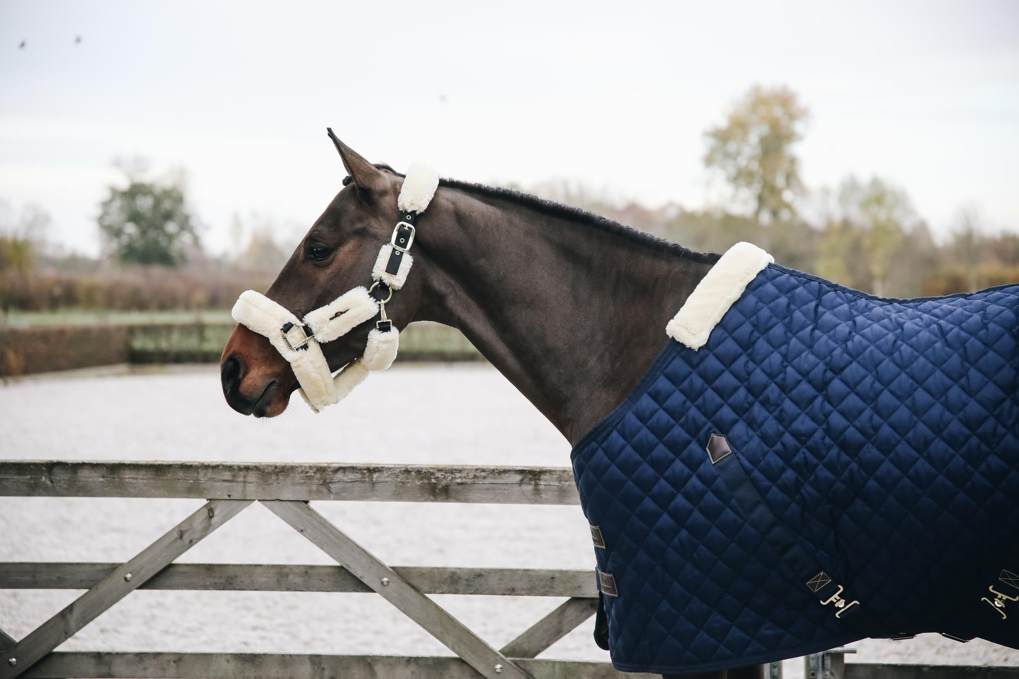 The Kentucky Stable Rug 200g is a stand out product from Kentucky Horsewear from their latest range. For any horse this is a very comfortable rug, a must-have for clipped horses or horses with sensitive skin. A lovely product, it is able to offer great warmth and comfort and it’s also a very easy to use rug for any rider. As well as being able to offer warmth, it is also highly breathable thanks to the combination of the materials.
