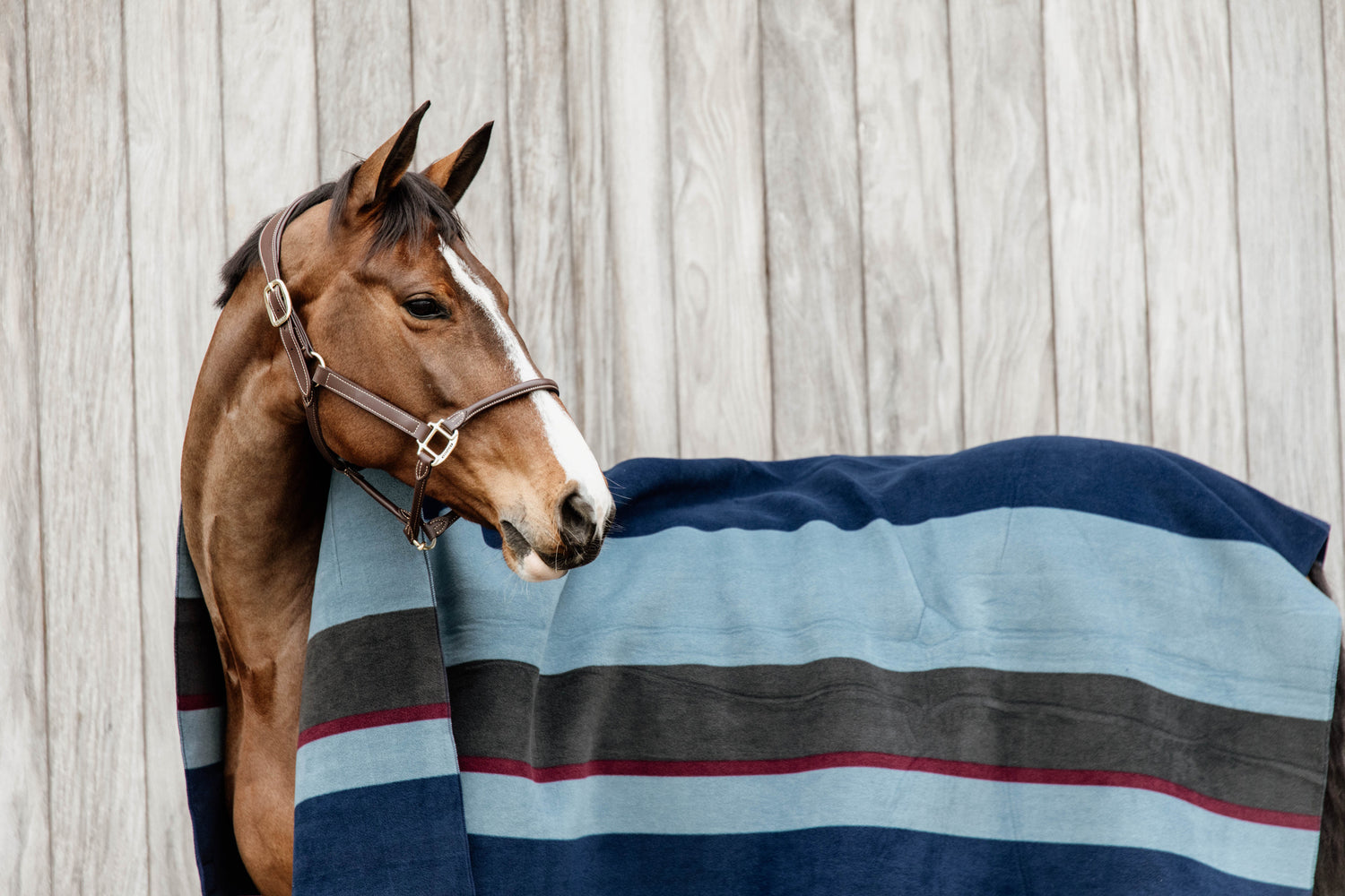 This Kentucky heavy fleece square rug is a great under layer, ring side or on the yard during the colder months. 