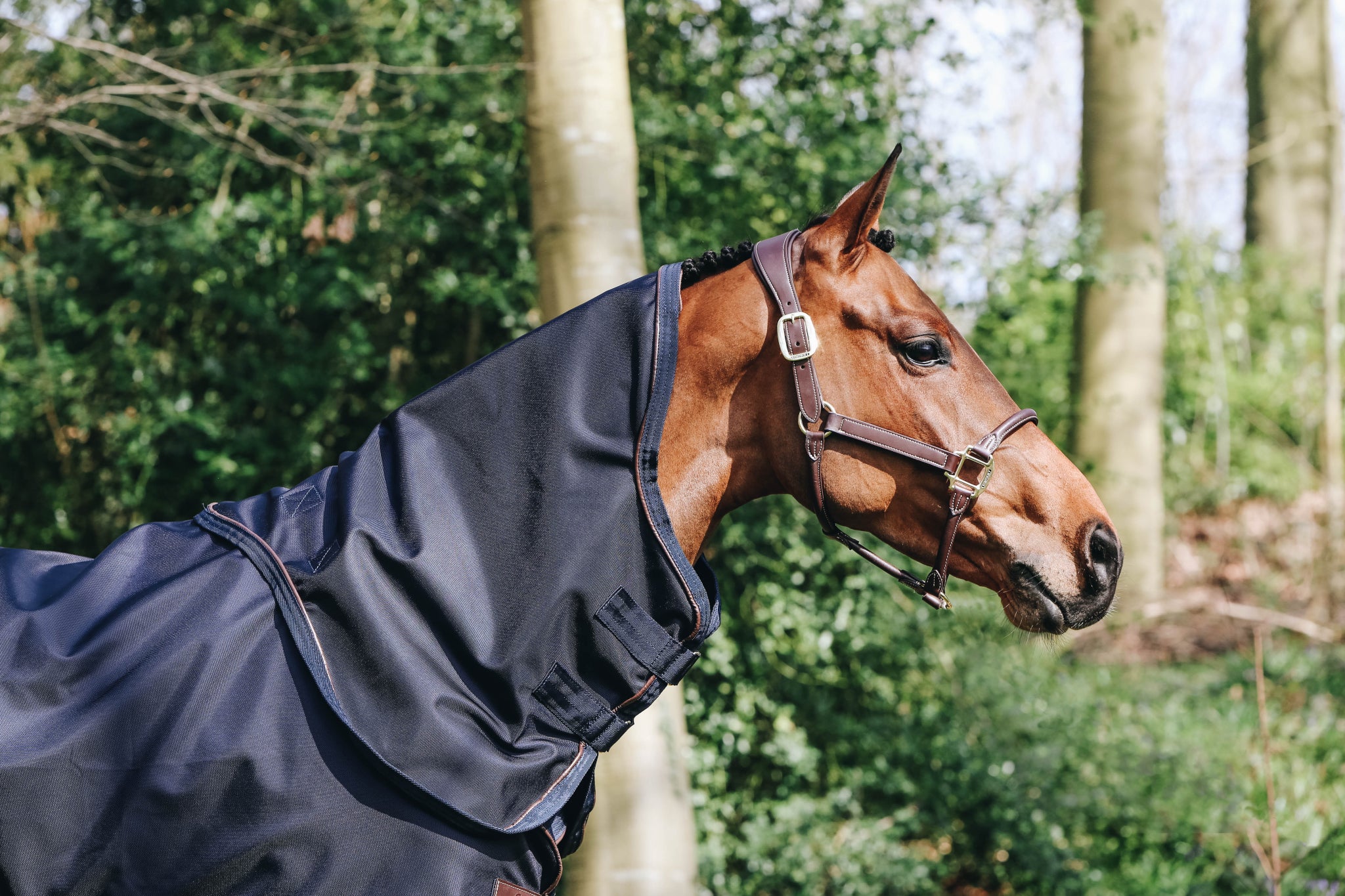 The Kentucky Neck All Weather 150g can be used in combination with their Turnout Rug All Weather. 