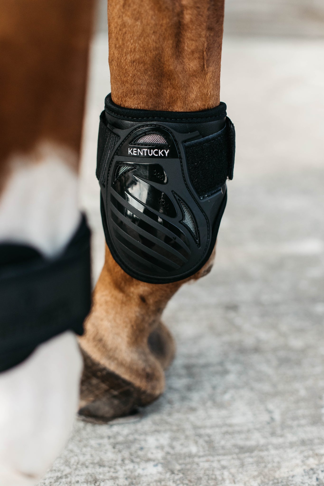 Kentucky Young Horse Fetlock Boots Air are the perfect match for the New Kentucky Tendon Boots Bamboo Shield.   Approved for jumping rounds in both FEI and BS the New Kentucky Young Horse Fetlock Boots Air have a double Velcro fastening helping to keep your boot securely fastened. The secure fastening prevents the boot turning when jumping or exercising and therefore keeps the horses hind legs consistently protected.