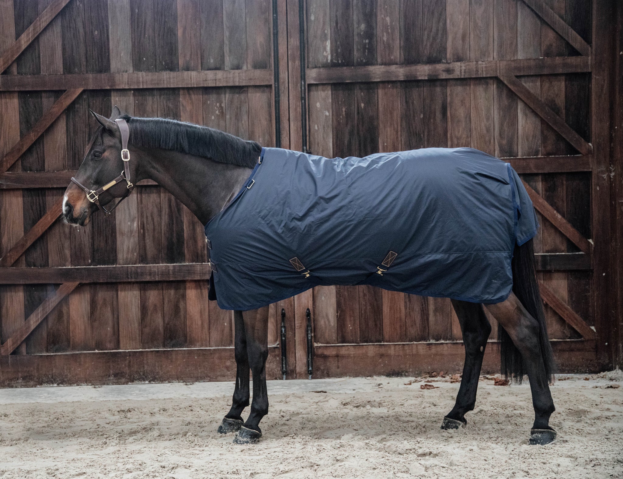 The Turnout Rug All Weather Hurricane is 100% waterproof and is perfect to use in extreme weather conditions.