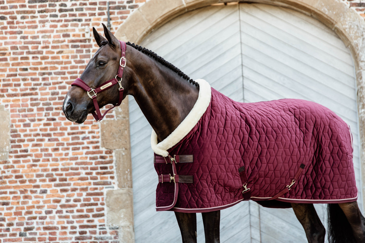 Kentucky Burgundy Velvet Show Rug