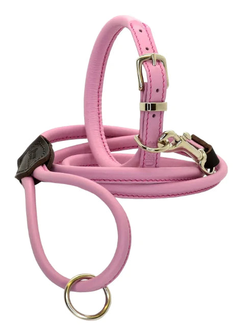 Dogs and Horses Pink Rolled Leather Collar