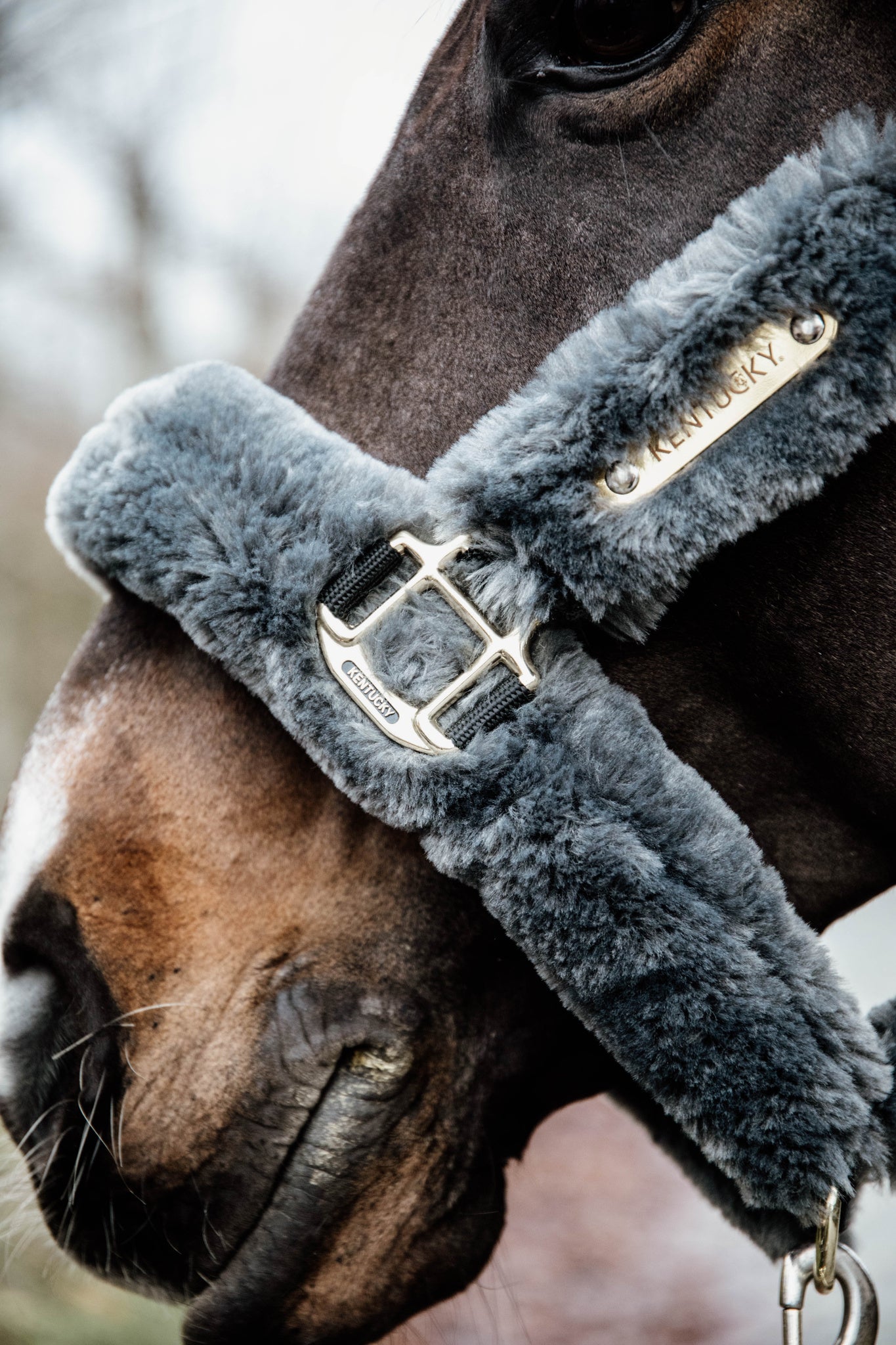 The Kentucky Horsewear Sheepskin Shipping Halter is an extremely soft and comfortable halter mainly used during transportation.
