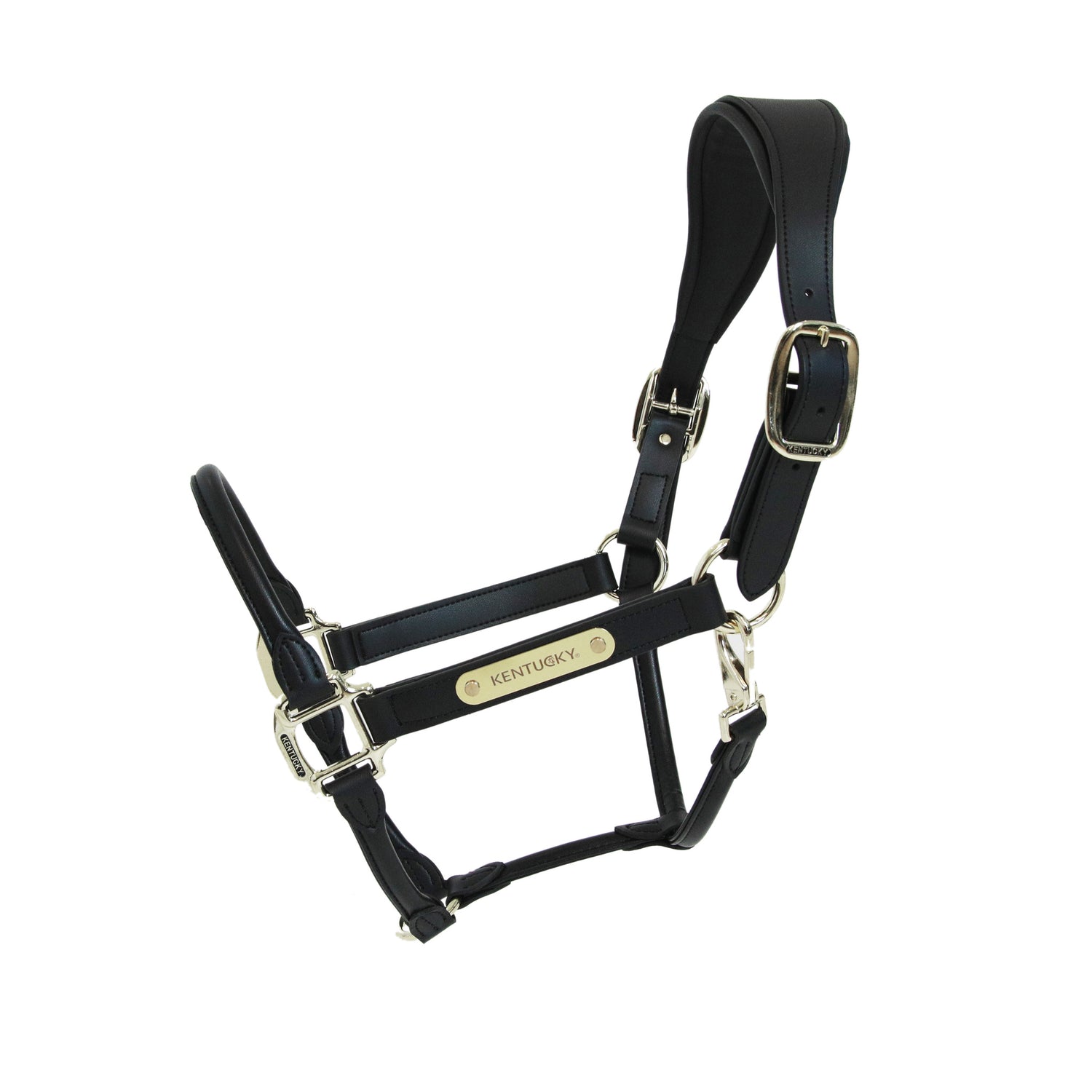 The Anatomic Leather Halter is made of artificial vegan leather (100% animal friendly). This artificial leather does not absorb water or dirt, does not break or change colour. 