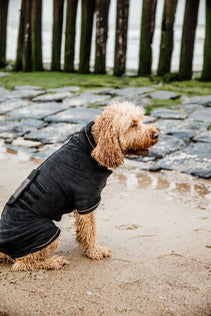 The Kentucky Dog Coat Towel comes very handy to dry your dog after a bath or a rainy walk. The dog cot is made of 100% microfiber polyester which helps absorb humidity faster. This coat features three hook and loop closures for the neck, belly, and front. 