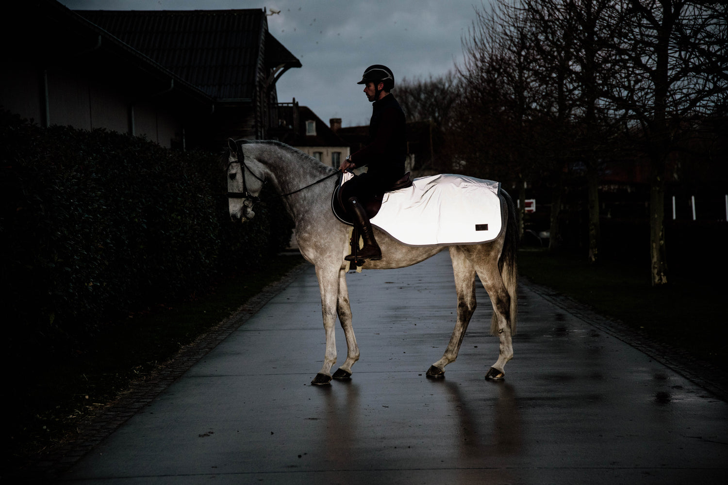 Kentucky Reflective Riding Rug     Protect your horse in poorly lit circumstances with our reflective riding rug, even in heavy rainfall. 