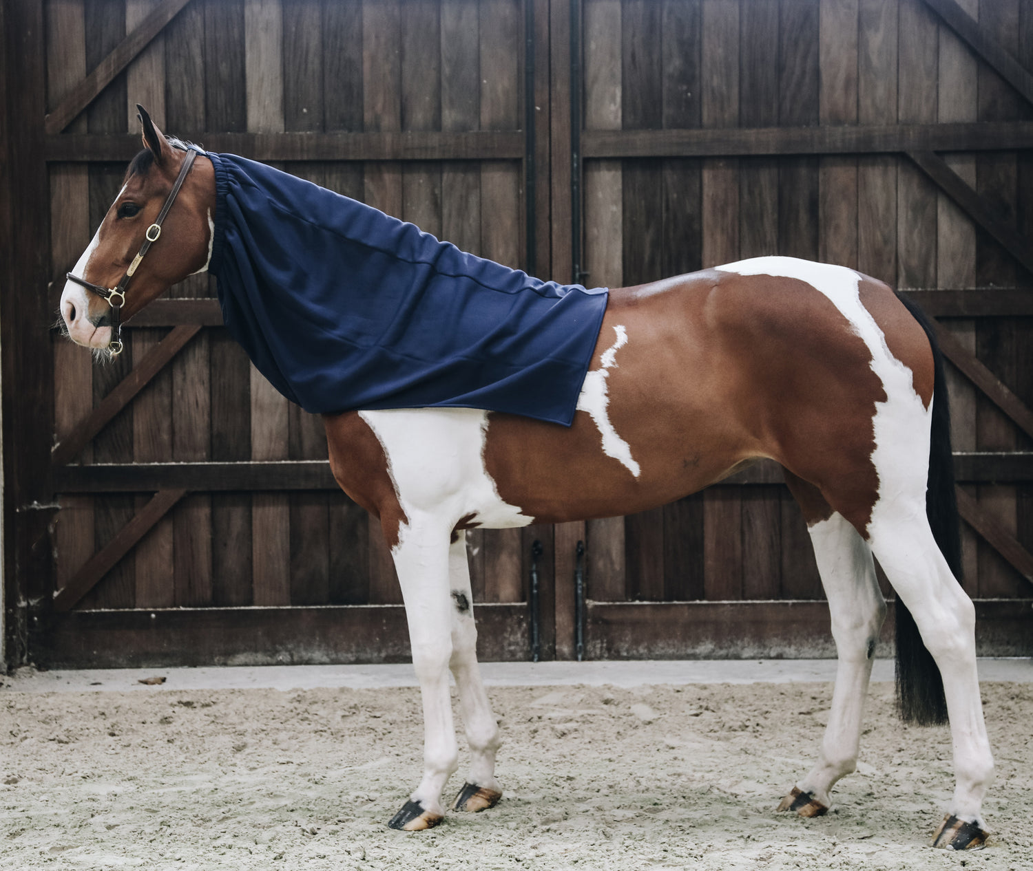 This Kentucky Cooler Fleece Horse Scarf brings all the key benefits of the Kentucky Rug range to your horse’s neck. This scarf uses the same fabric as their cooler rug, therefore ideal to dry your horse after riding or bathing. Another great time to use is simply in the stable on colder days. It is very breathable, which makes it perfectly suited during transport.
