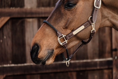 The Leather Rope Halter comes with a thick brown rope to replace the noseband. This rope helps to have more control with horses who tend to have a lot of character. The lower buckle includes a pressure system that will tighten and ensure extra safety if the horse pulls too much.