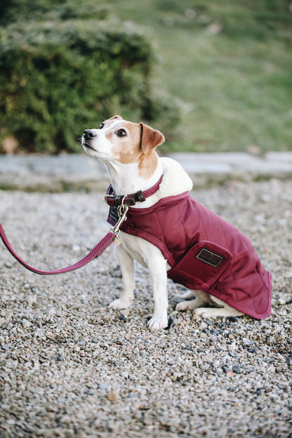 The Kentucky outstanding Dog Coat was made to match the new line of horse rugs. It has a filling of 160gand features an artificial rabbit skin lining for extra comfort which creates tiny air pockets that trap and retain the body heat of the dog. The soft lining also polishes the dog’s hairs and the artificial sheepskin on the neck offers comfort and warmth.