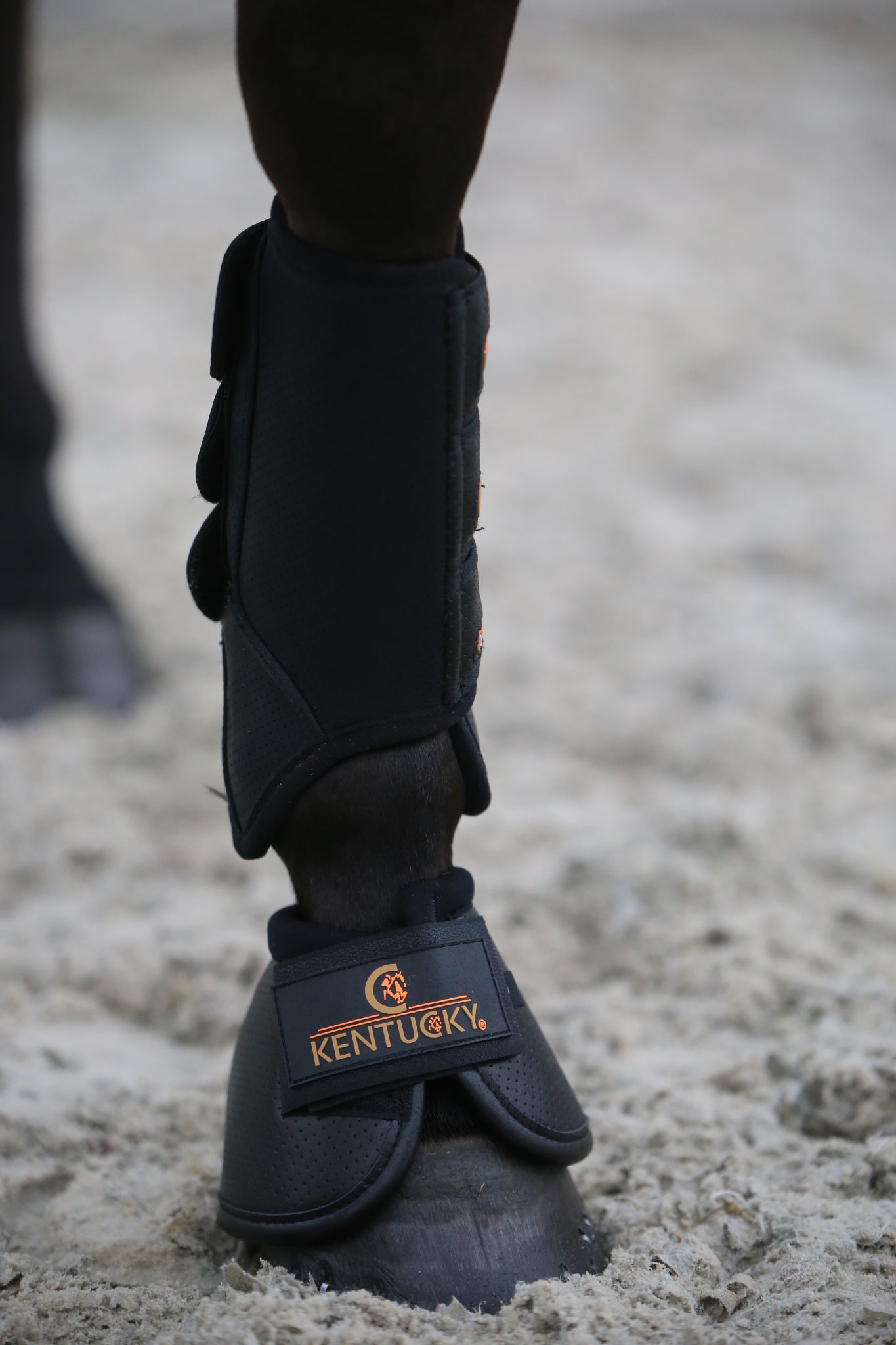 The Kentucky Horsewear Air Tech Over Reach Boots offer vital protection for your horse. Made with shock absorbing gel these are perfect procreation for your horse. The Air Tech Over Reach Boots provide excellent shock absorption and protection against over reaches.